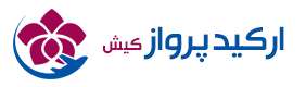 ارکيد پرواز
